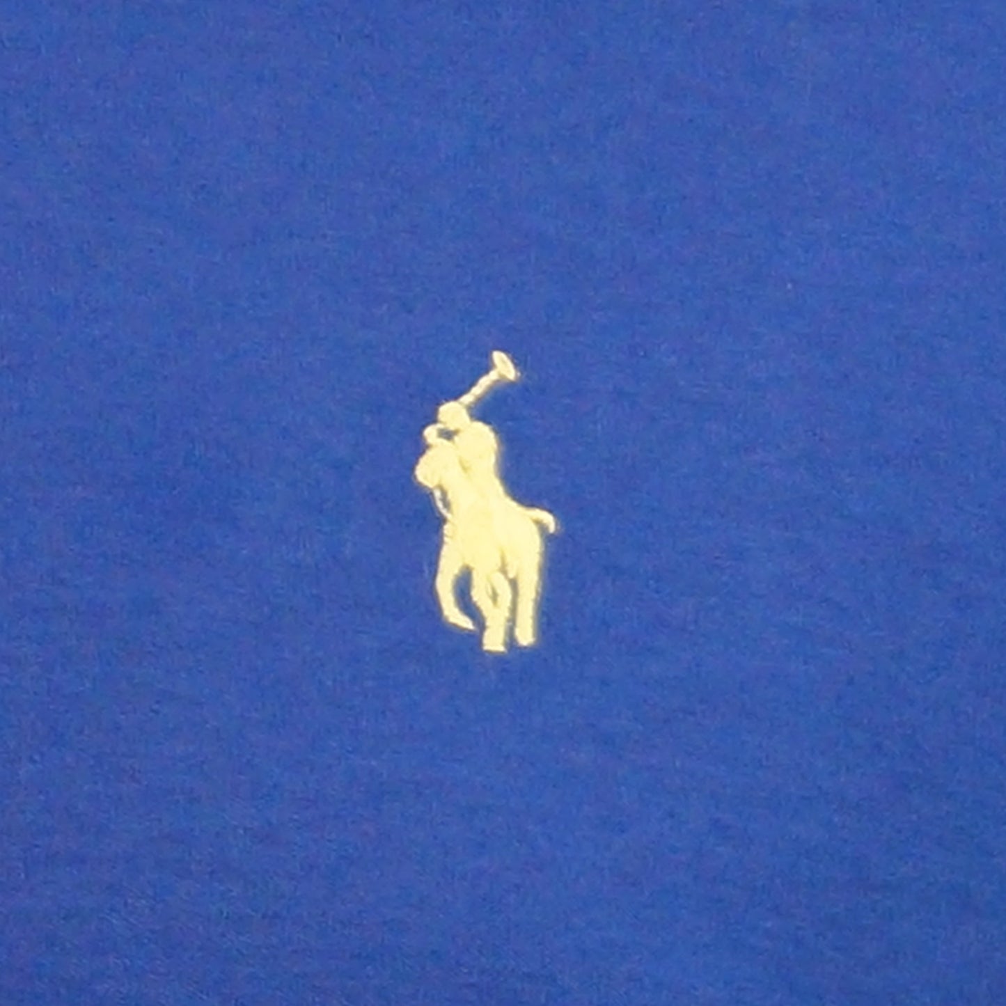 Small Pony Men'S Polo