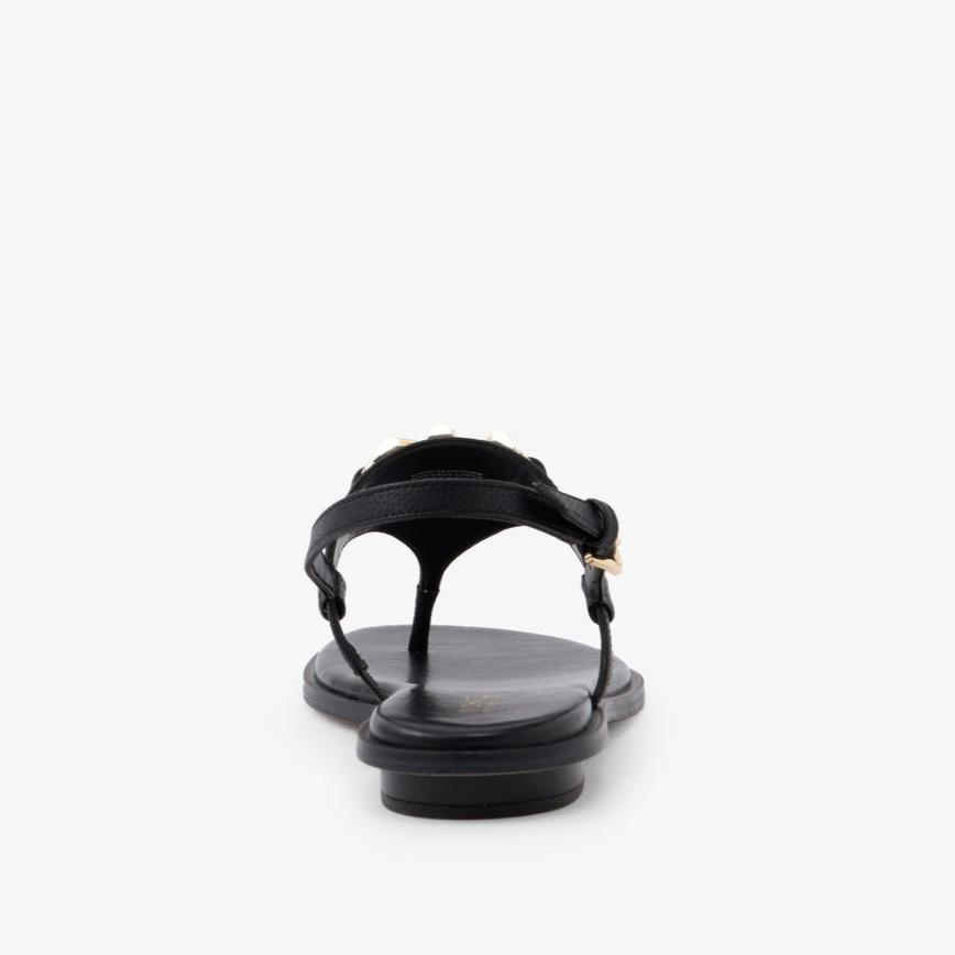 Ladies Reed Flat Thong Black