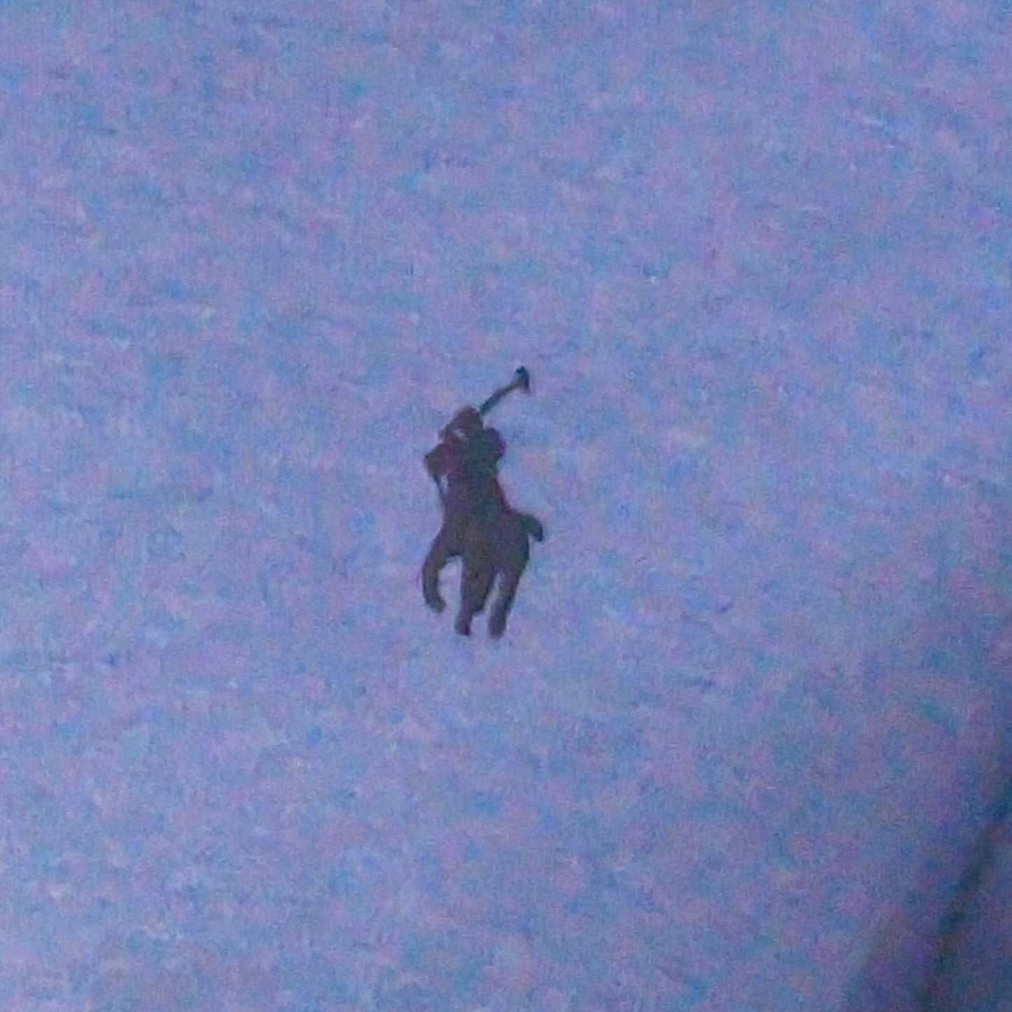 Small Pony Men'S Polo