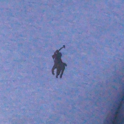 Small Pony Men'S Polo