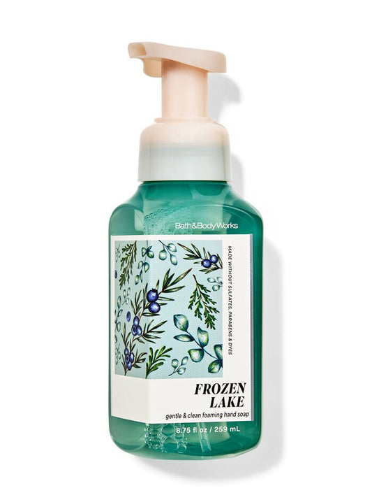 Frozen Lake Gentle & Clean Foaming Hand Soap 259 Ml