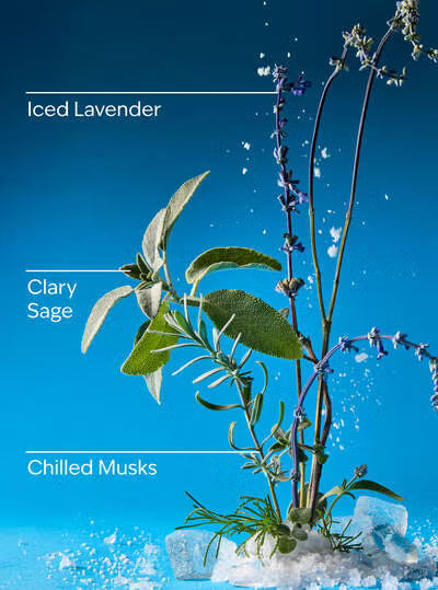 Iced Blue Lavender Gentle & Clean Foaming Hand Soap 259 Ml