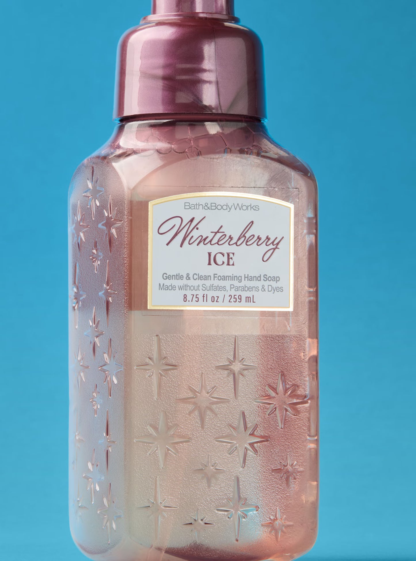 Winterberry Ice Gentle & Clean Foaming Hand Soap 259 Ml