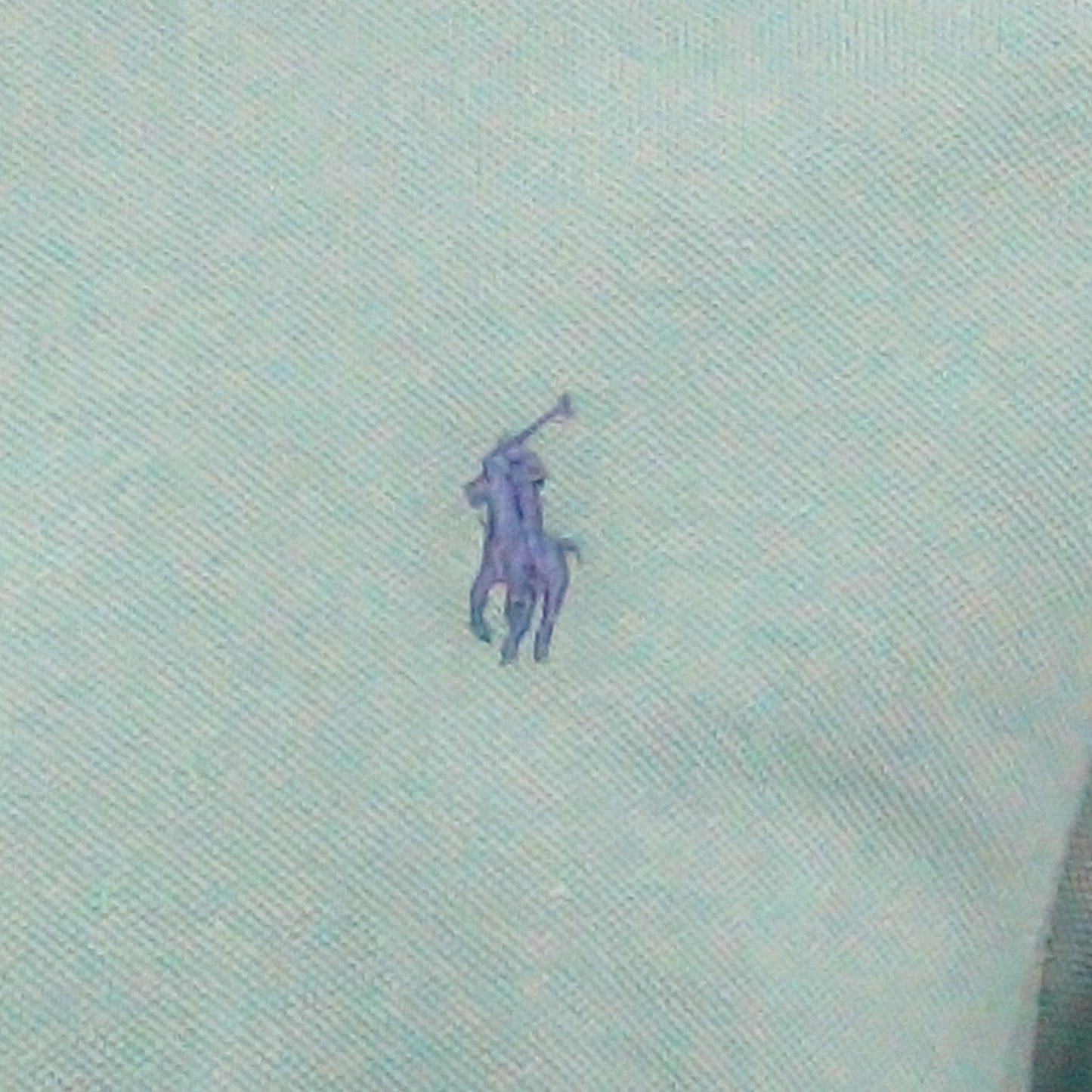 Small Pony Men'S Polo